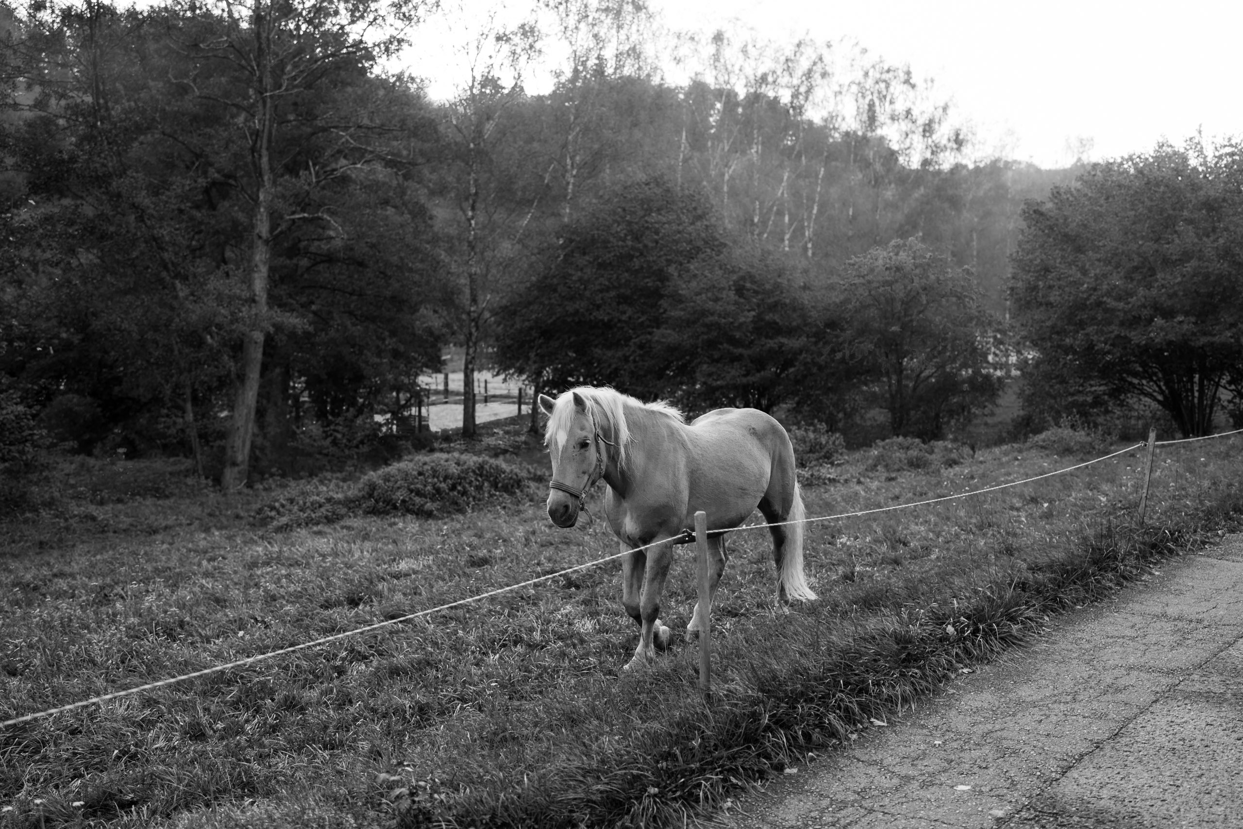 Hochzeitsfotograf Eselsmühle Leinfelden Echterdingen