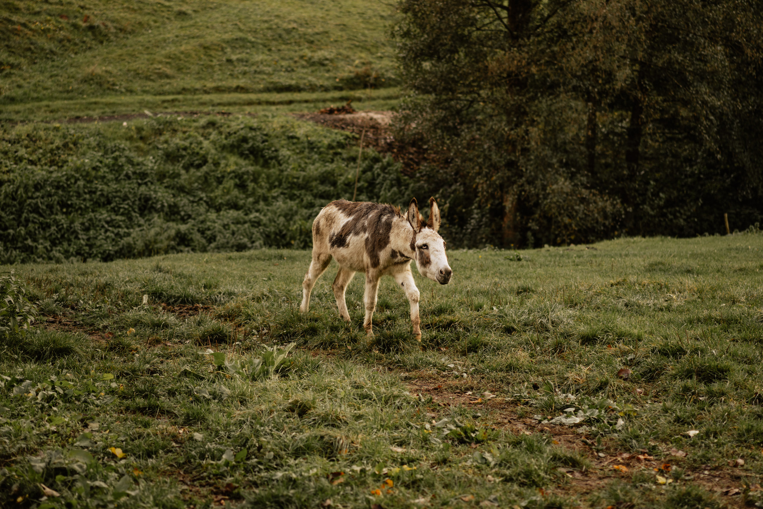 Hochzeit Eselsmühle Leinfelden Echterdingen