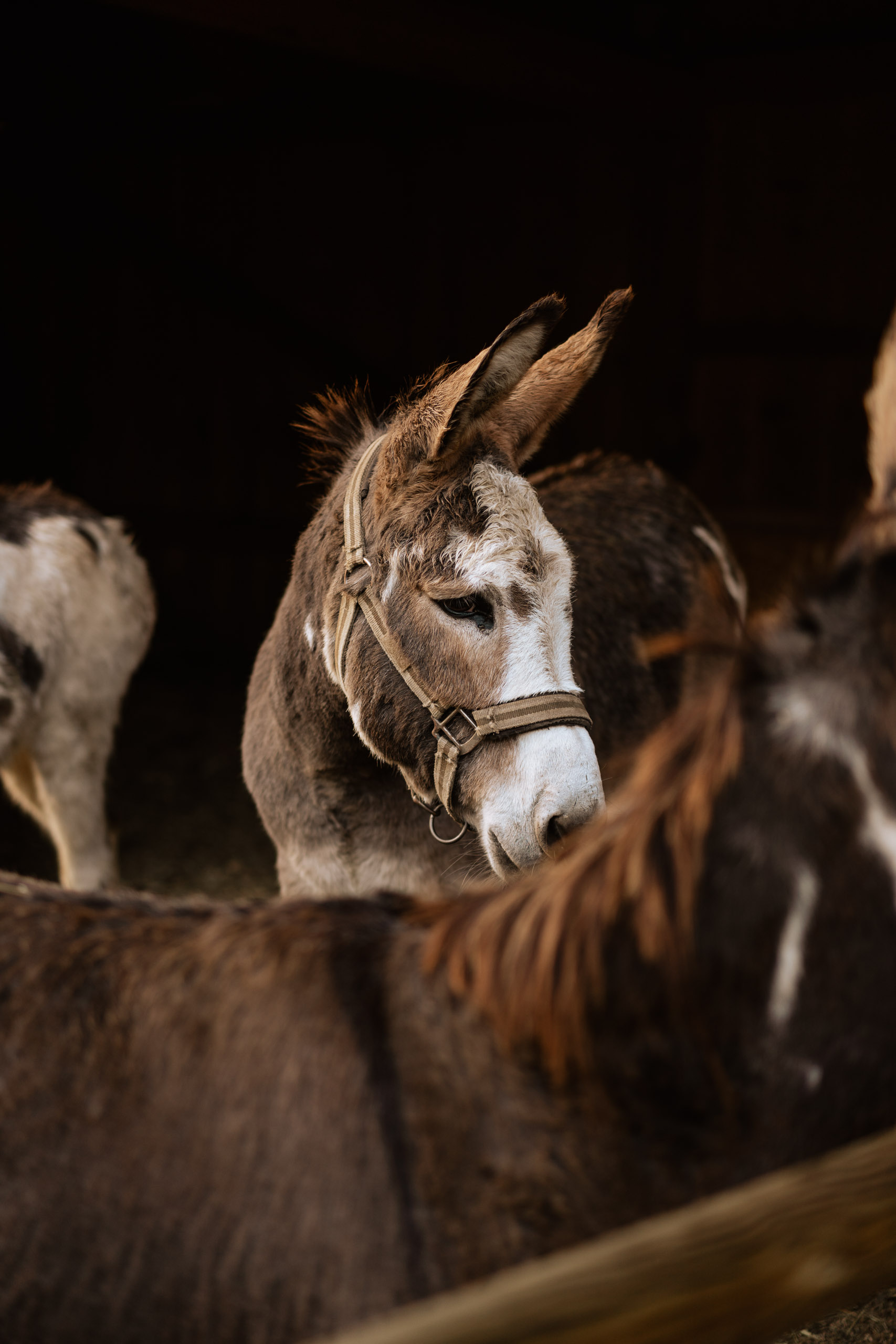 Hochzeit Eselsmühle Leinfelden Echterdingen