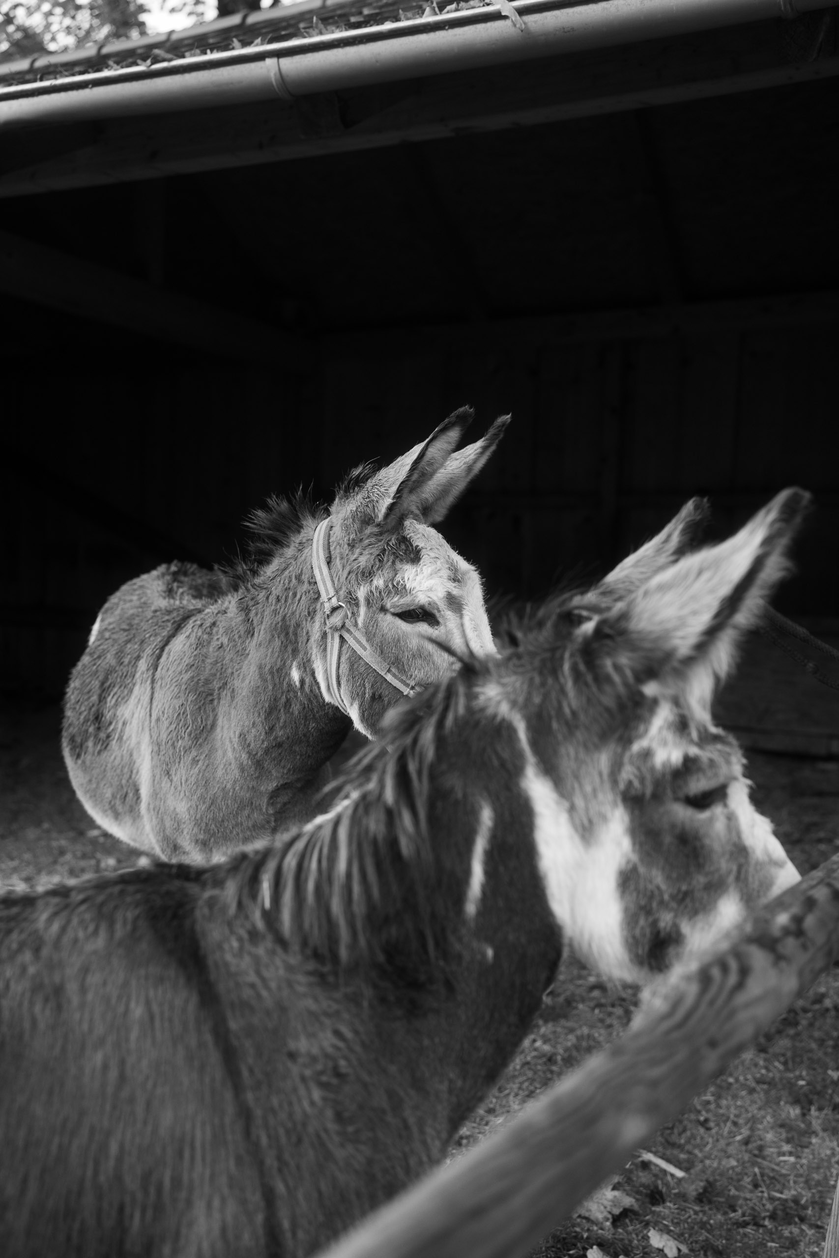 Hochzeit Eselsmühle Leinfelden Echterdingen