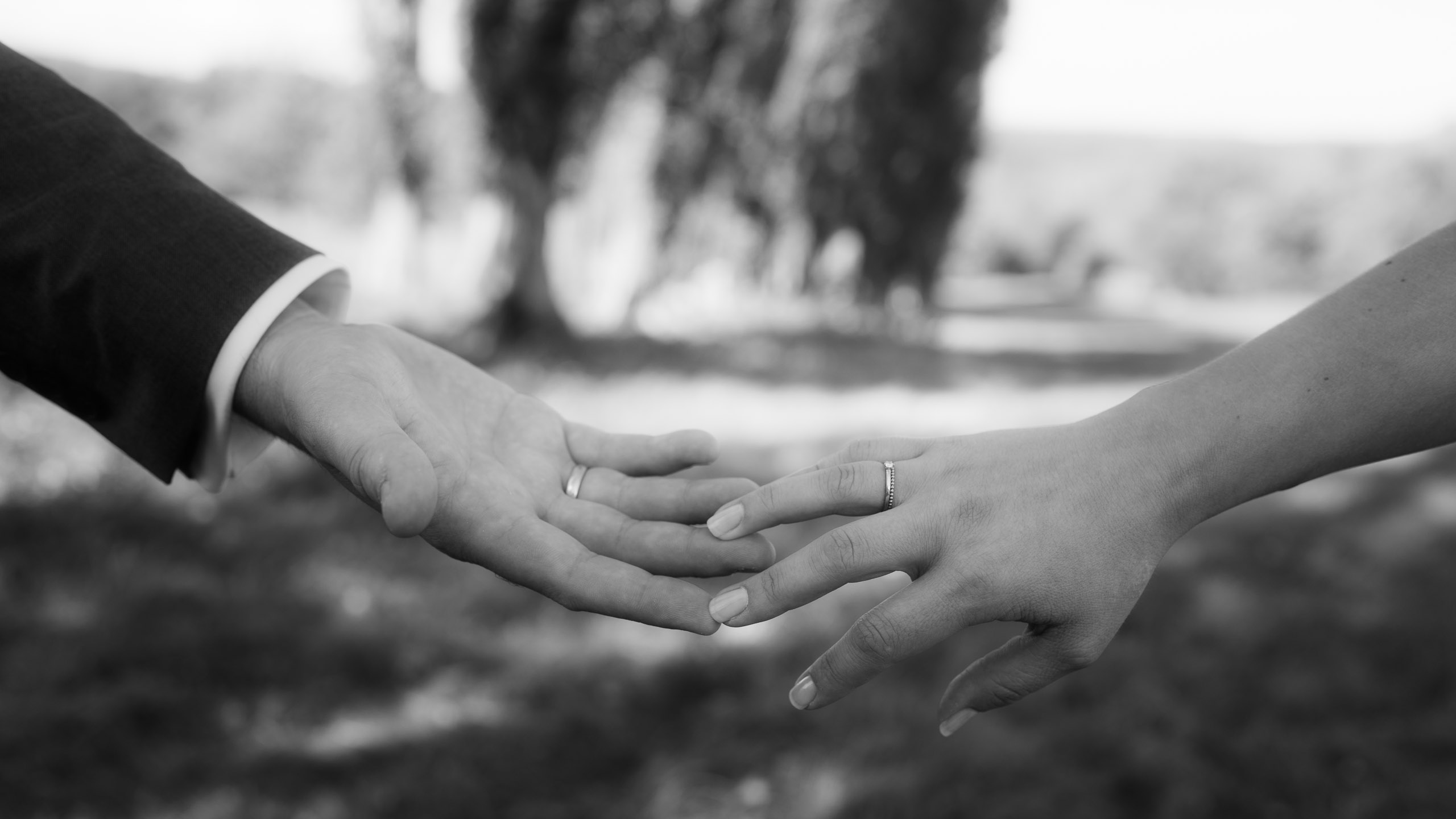 Hochzeitsfotograf Waldgeflüster